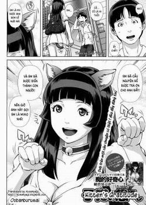 Đọc truyện Kitten's Gratitude, Koneko no Ongaeshi