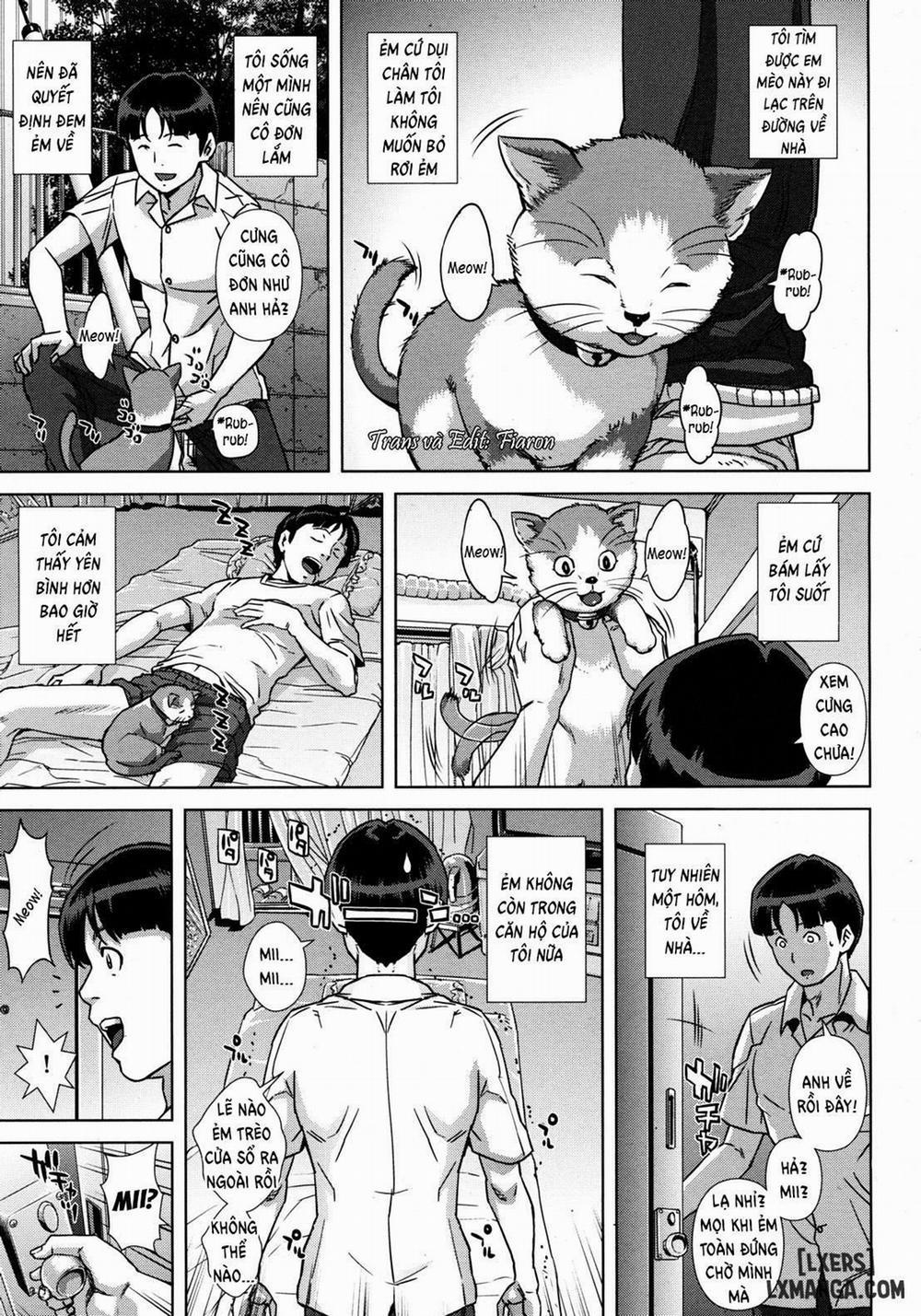 Kitten's Gratitude Oneshot trang 0