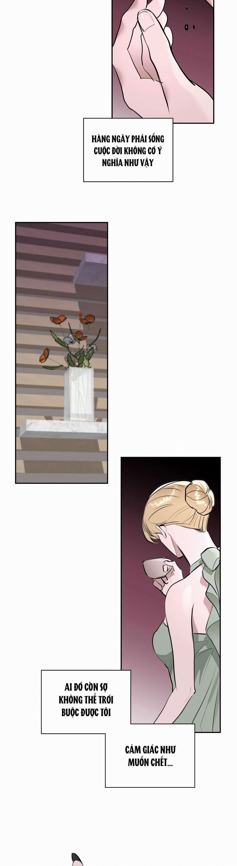 Knockout Baby 9 trang 6