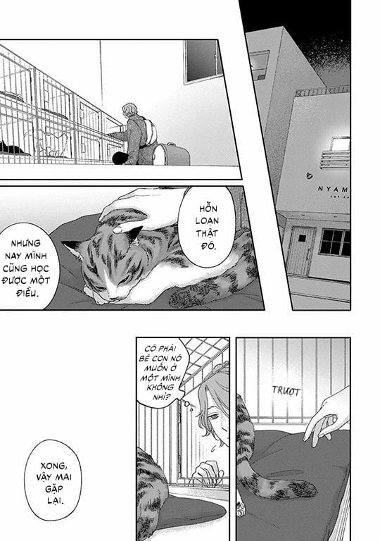 Koi Kirari, Kage Sururi 4 trang 26