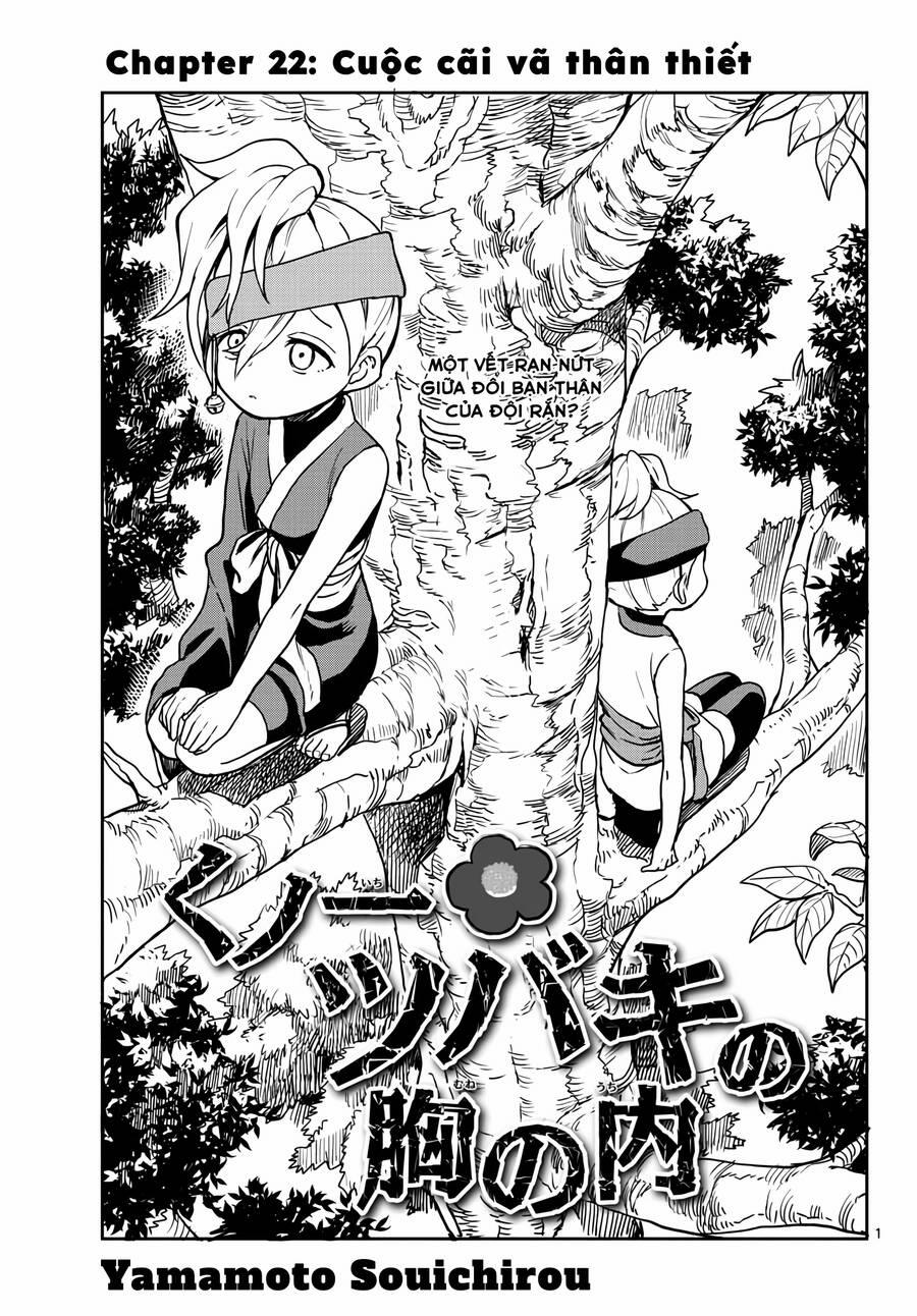 Kunoichi Tsubaki No Mune No Uchi 22 trang 0