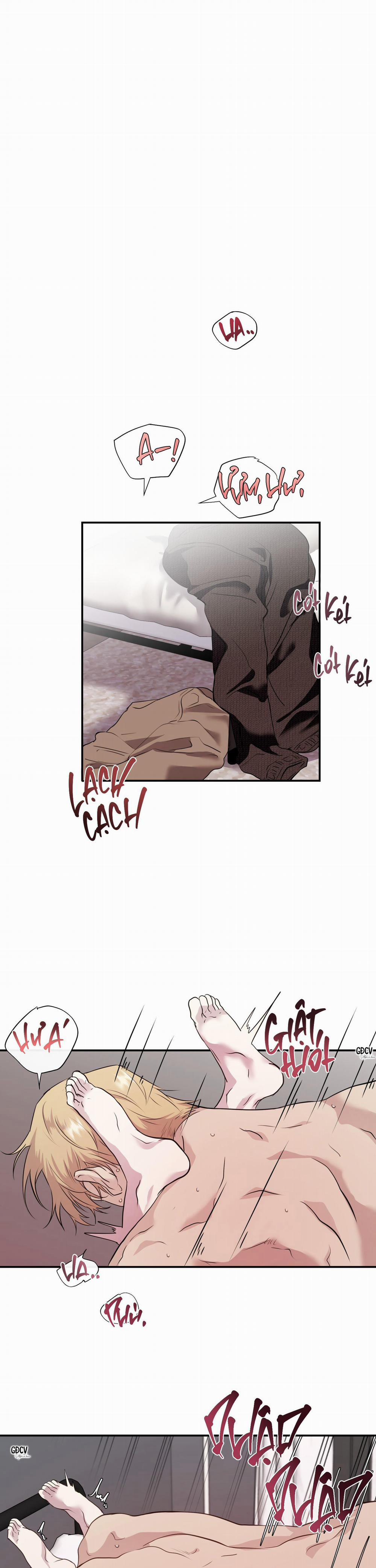 KỲ ĐỘNG DỤC LÀ GÌ CHỨ? 6 trang 24