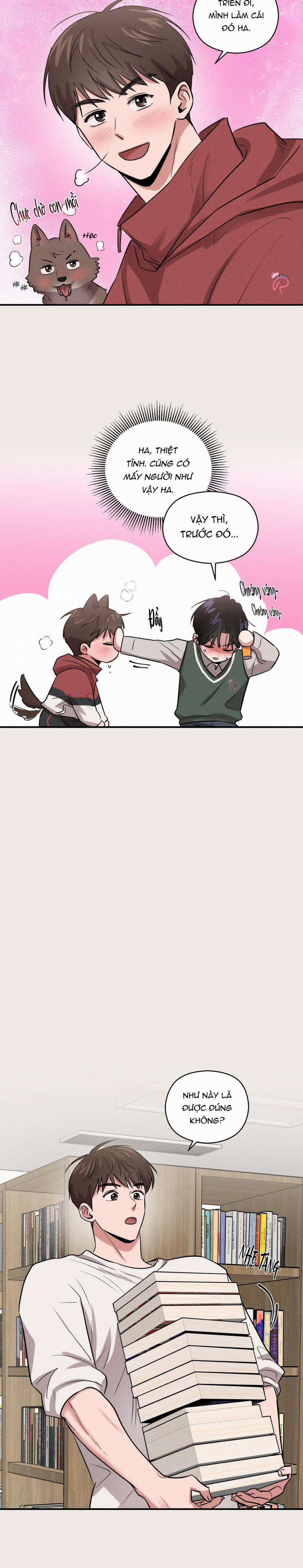 Ký Sự Tuổi Trẻ 1995 20 trang 14