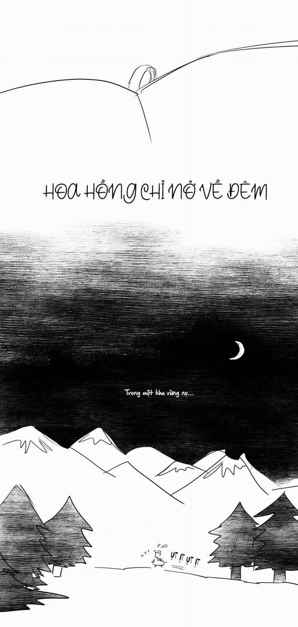 Ký Sự Tuổi Trẻ 1995 22 trang 5