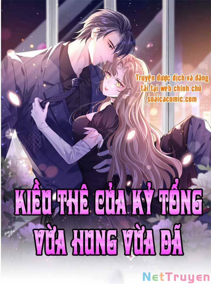 Kỷ Tổng Kiều Thê Vừa Hung Vừa Sủng 1 trang 0