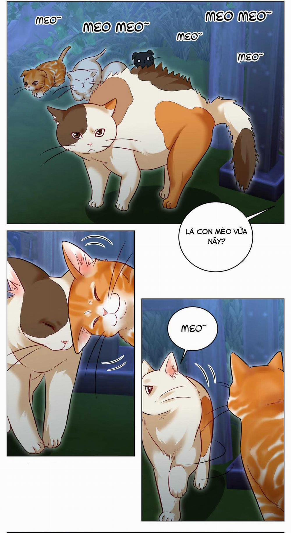 Ký túc xá nam phòng 303 238 trang 7