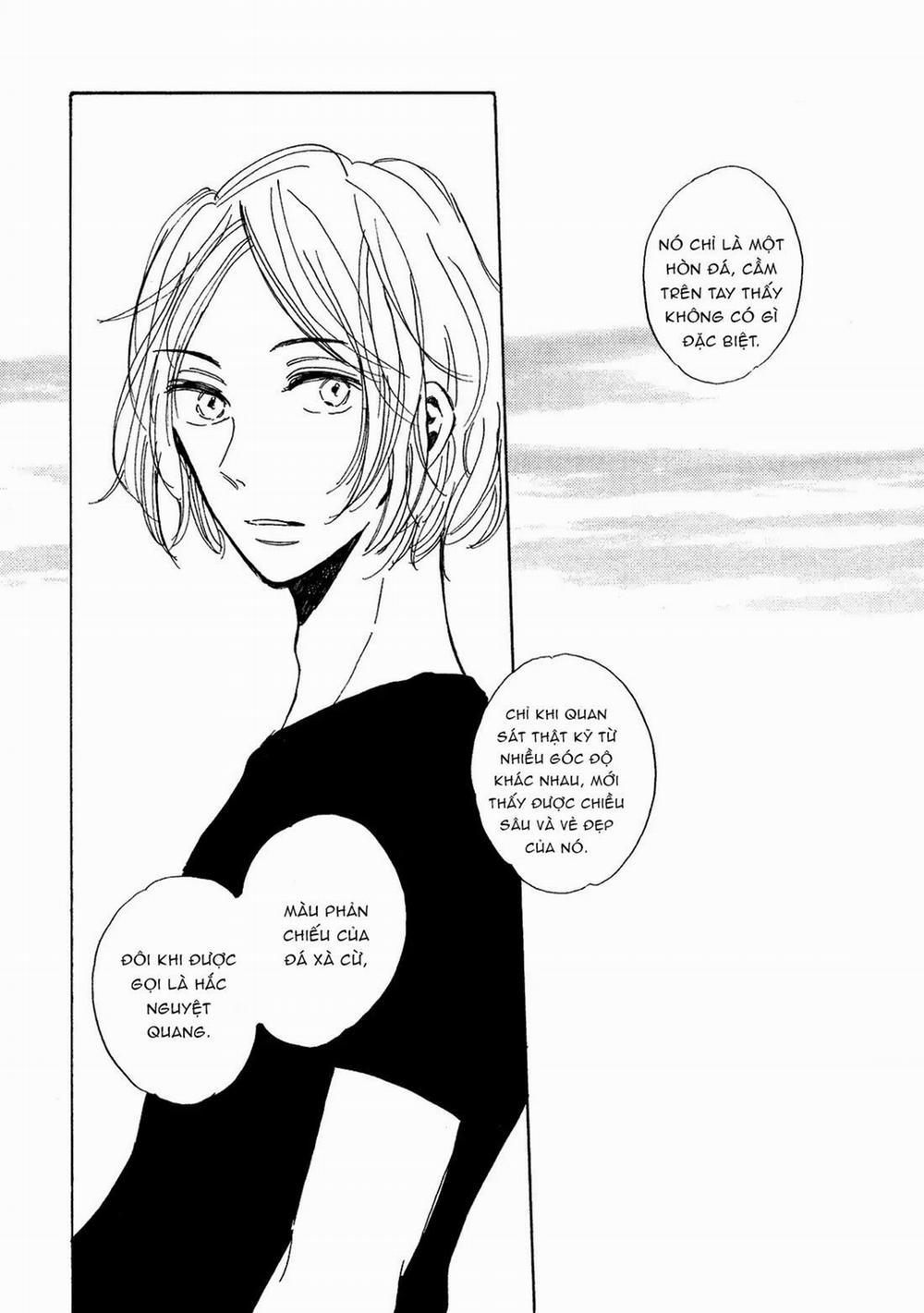 Labradorescence 6 trang 2