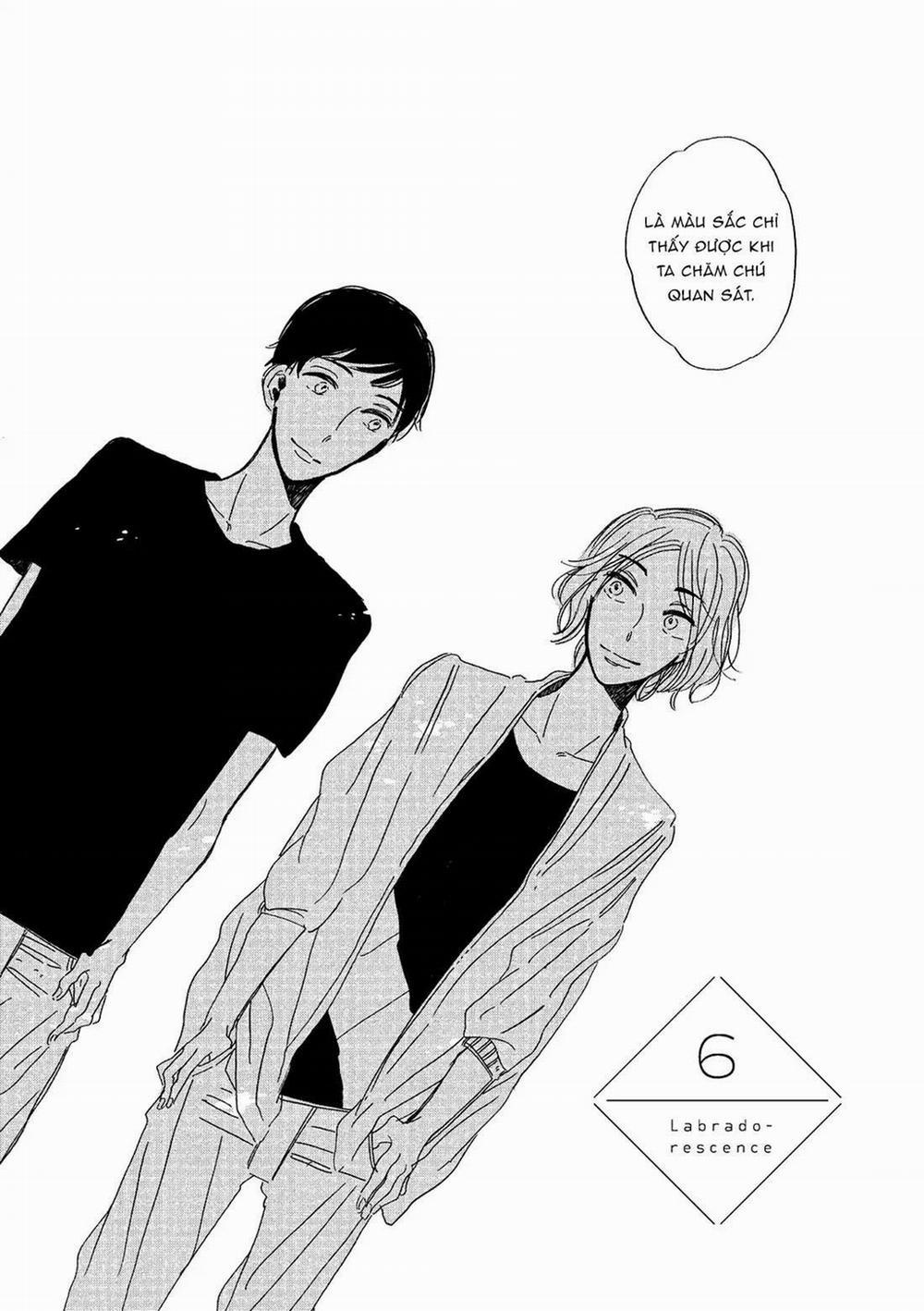 Labradorescence 6 trang 3