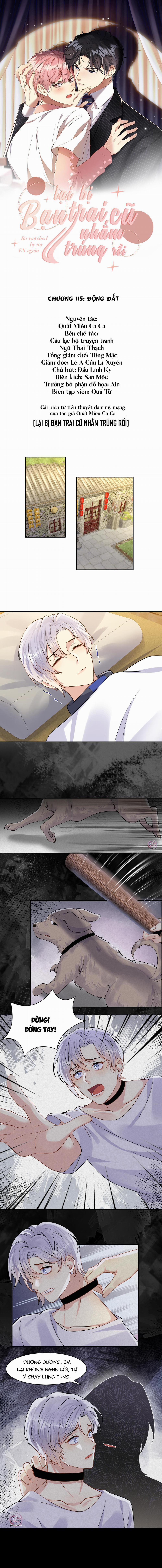 Lại Bị Bạn Trai Cũ Nhắm Trúng Rồi 115 trang 0