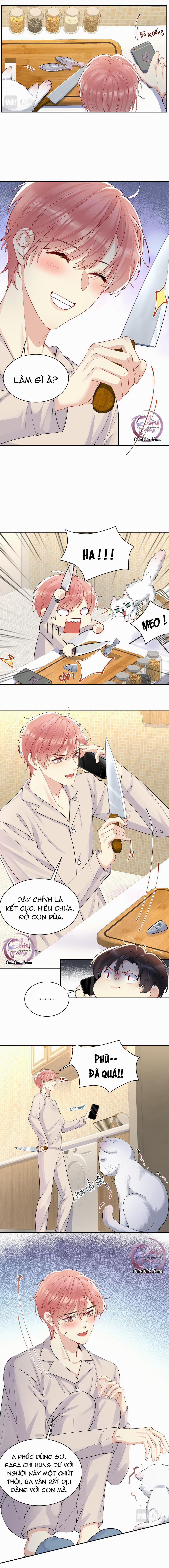 Lại Bị Bạn Trai Cũ Nhắm Trúng Rồi 12 trang 5