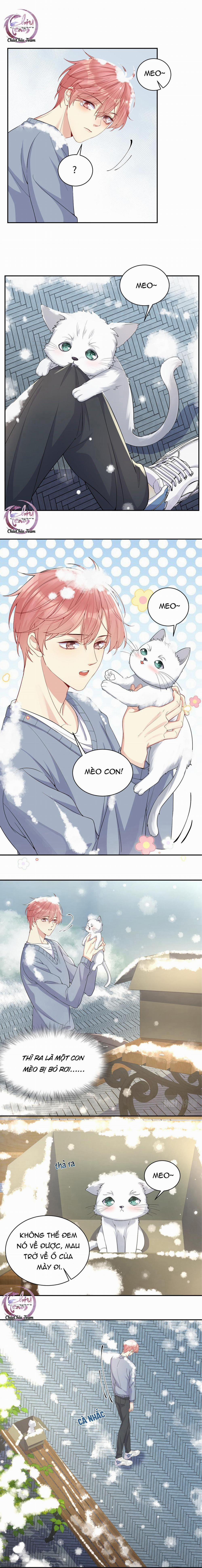 Lại Bị Bạn Trai Cũ Nhắm Trúng Rồi 8 trang 4