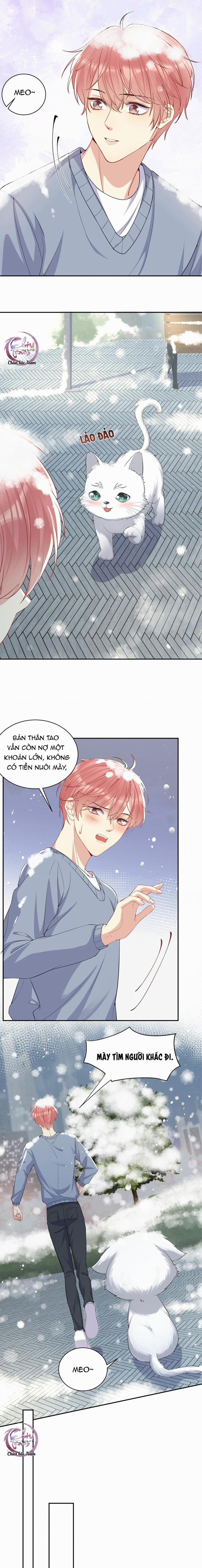 Lại Bị Bạn Trai Cũ Nhắm Trúng Rồi 8 trang 5