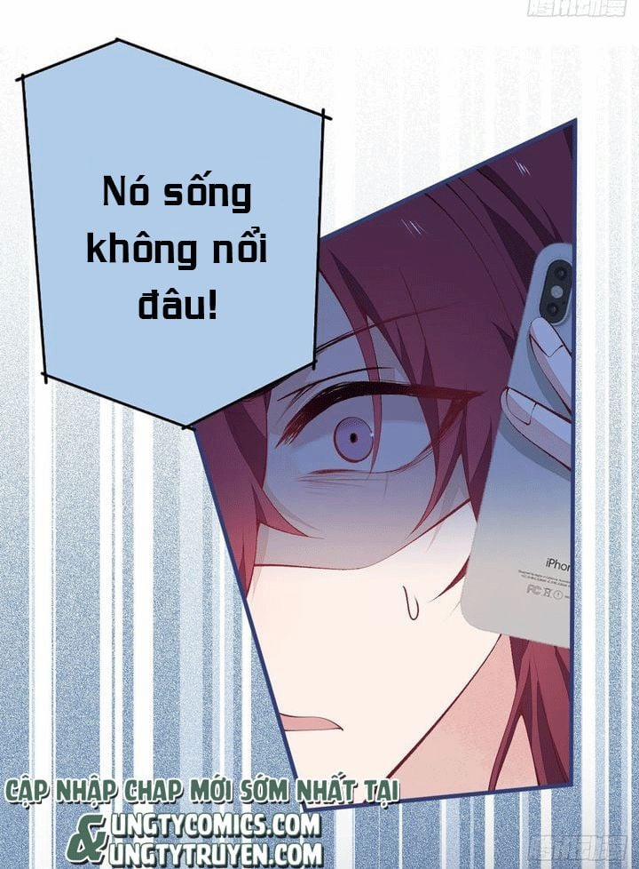 Lại Bị Nam Thần Trêu Lên Hot Search 143 trang 15