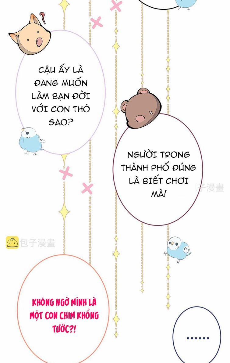 Lại Bị Nam Thần Trêu Lên Hot Search Ngoại truyện 2 trang 7