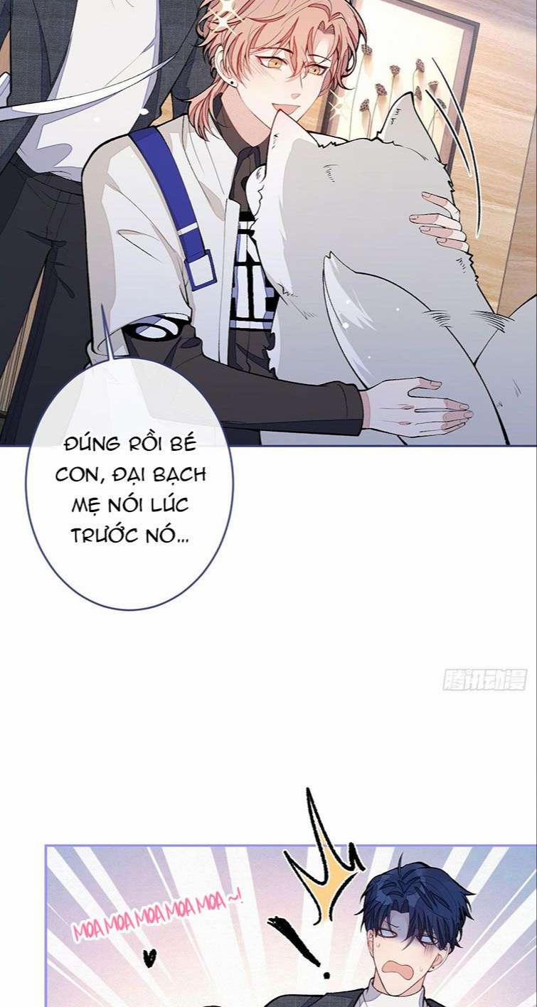 Lại Bị Nam Thần Trêu Lên Hot Search Phiên Ngoại 1 trang 19