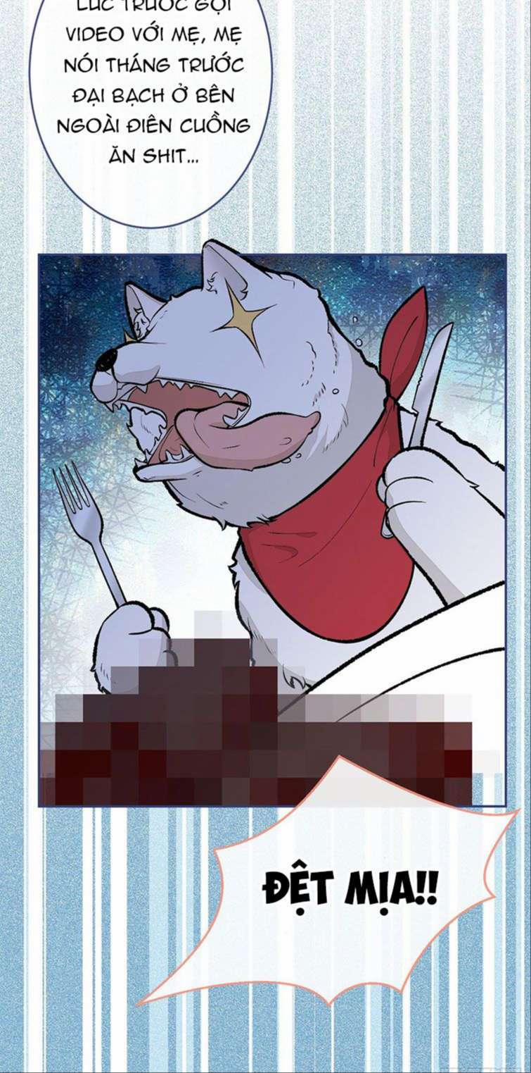 Lại Bị Nam Thần Trêu Lên Hot Search Phiên Ngoại 1 trang 30