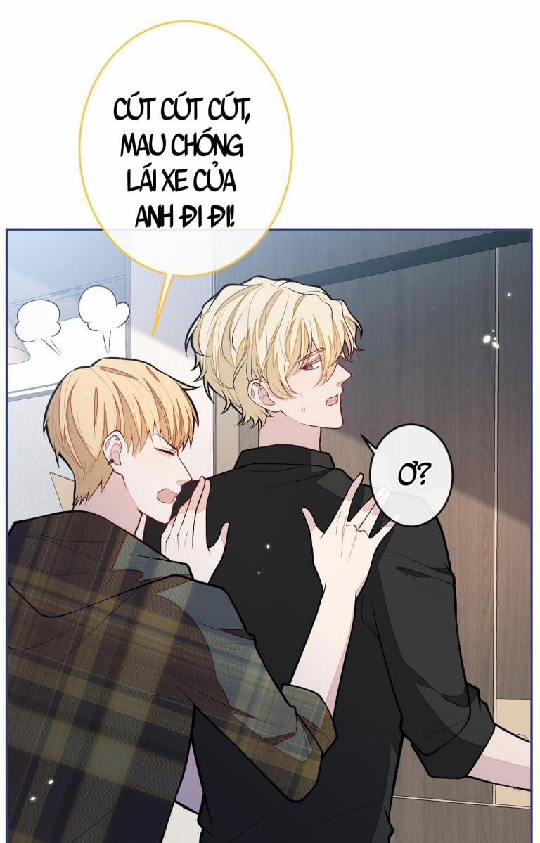 Lại Bị Nam Thần Trêu Lên Hot Search Phiên Ngoại 11 trang 21