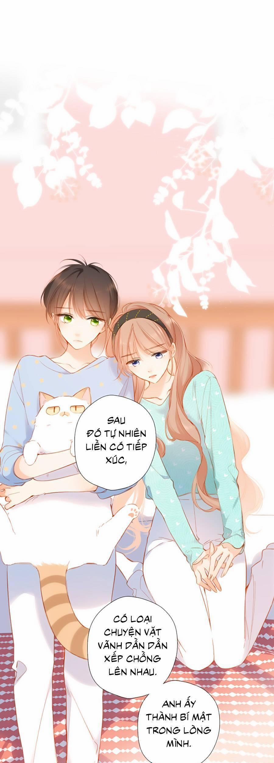 Lại Gặp Được Em 117 trang 1