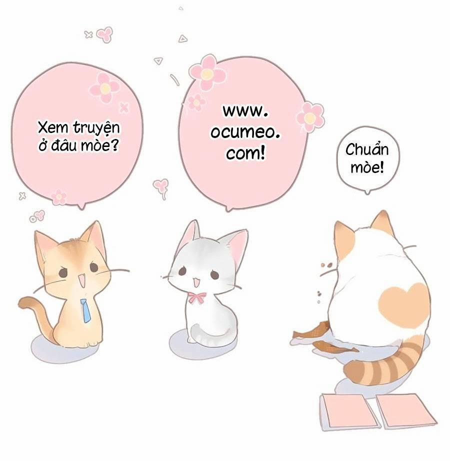 Lại Gặp Được Em 125 trang 26