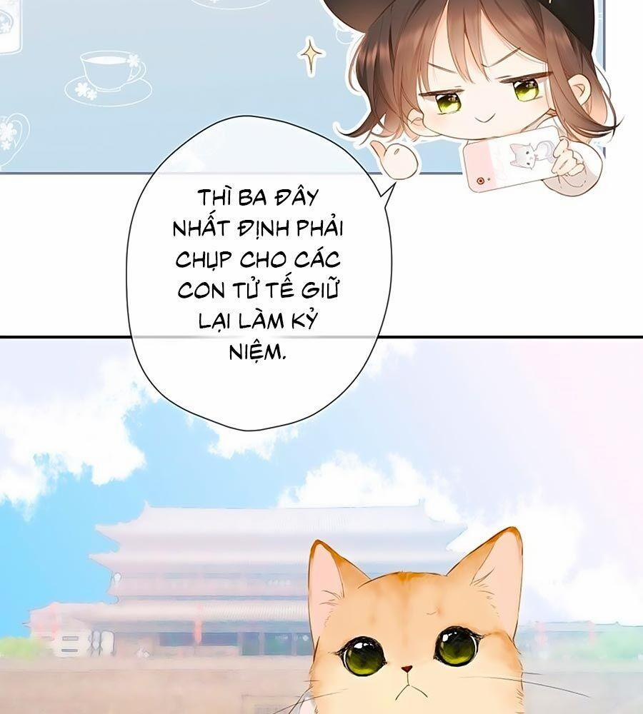 Lại Gặp Được Em 54.5 trang 1