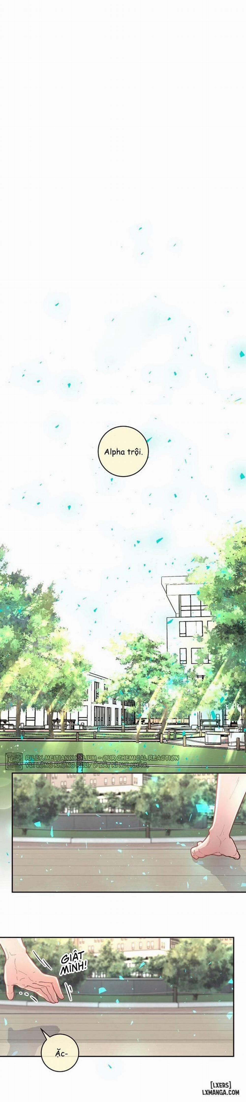 Làm cách nào để theo đuổi một Alpha? 29 trang 0
