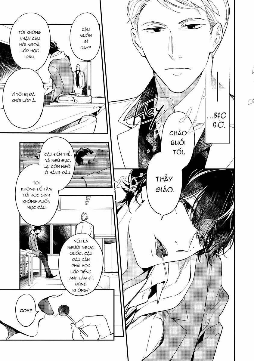 Lần Đầu Cúc Được Nở Hoa Sau 8 Năm 2 trang 24