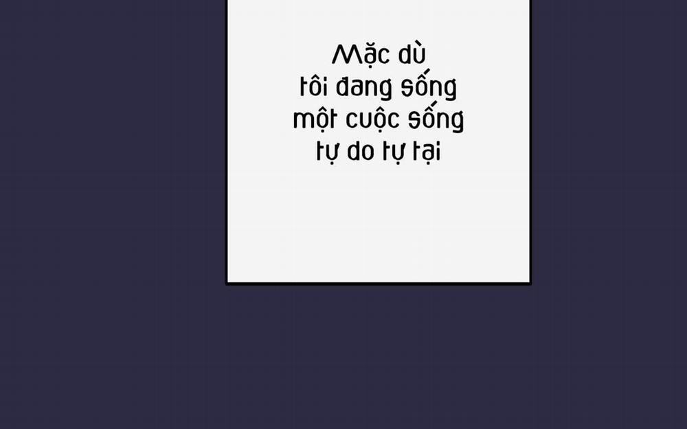 Lãng Mạn Giả Dối 1 trang 207