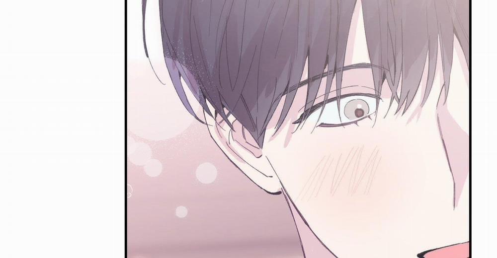 Lãng Mạn Giả Dối 10 trang 215