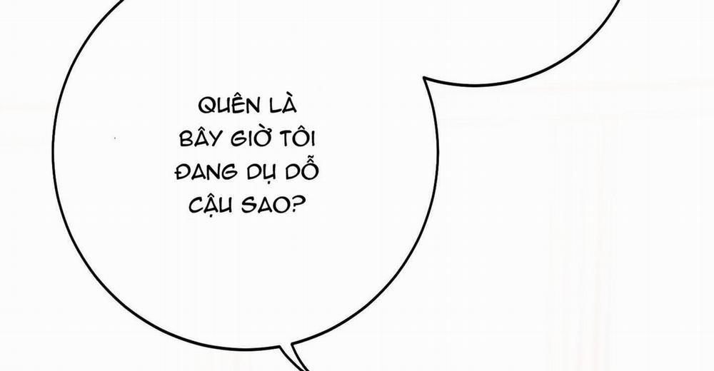 Lãng Mạn Giả Dối 10 trang 218