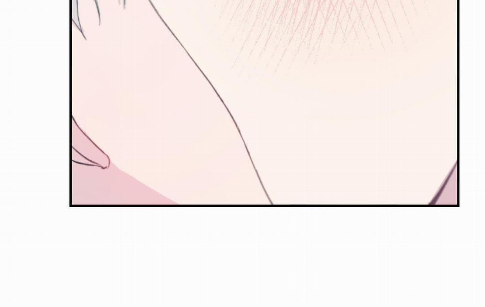 Lãng Mạn Giả Dối 13 trang 249