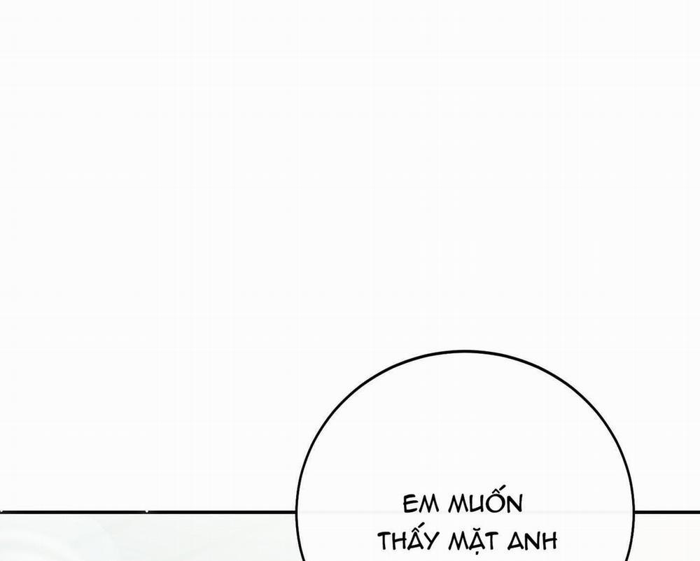 Lãng Mạn Giả Dối 14 trang 41