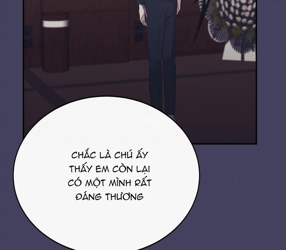 Lãng Mạn Giả Dối 15 trang 24