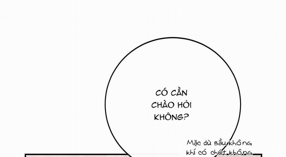 Lãng Mạn Giả Dối 16 trang 136