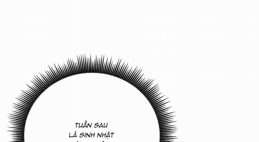 Lãng Mạn Giả Dối 16 trang 206