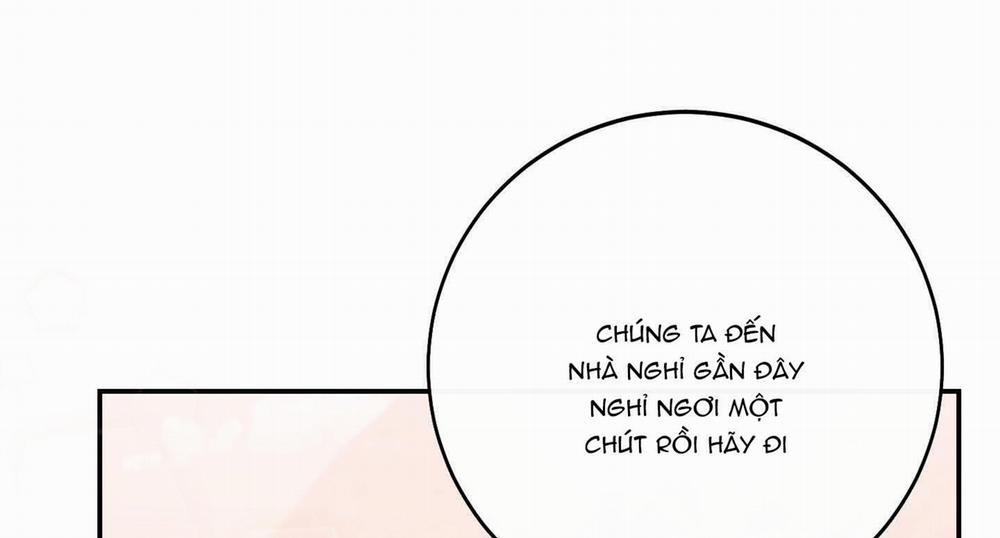 Lãng Mạn Giả Dối 16 trang 256