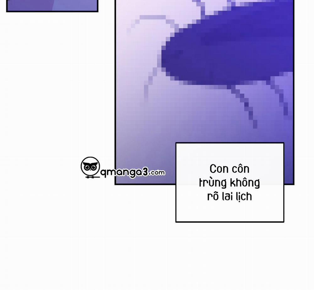 Lãng Mạn Giả Dối 17 trang 14