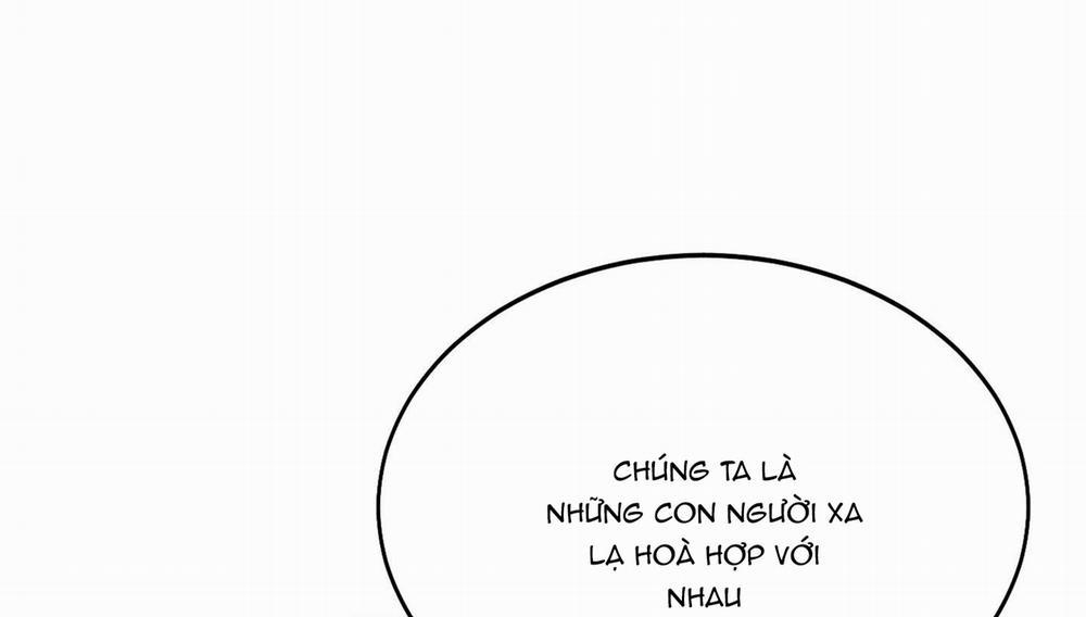 Lãng Mạn Giả Dối 19 trang 61