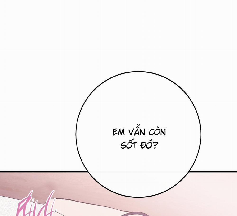 Lãng Mạn Giả Dối 25 trang 114