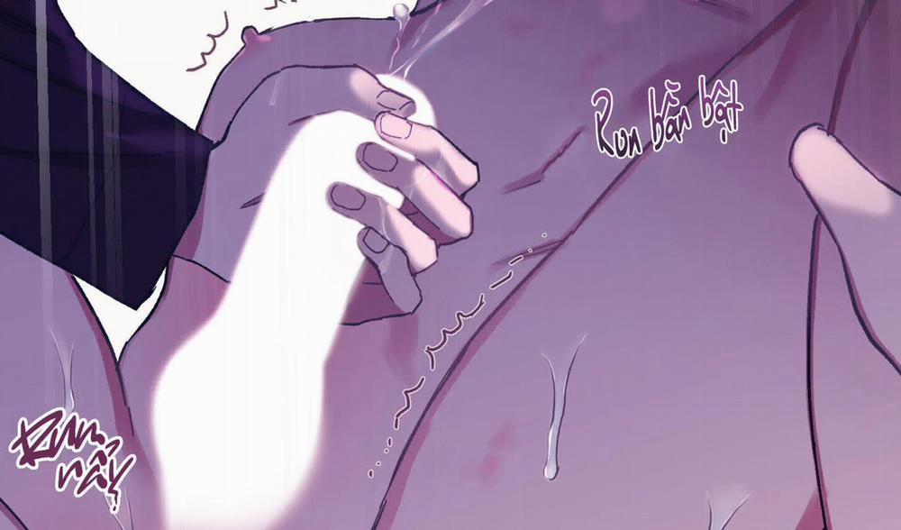 Lãng Mạn Giả Dối 27 trang 245