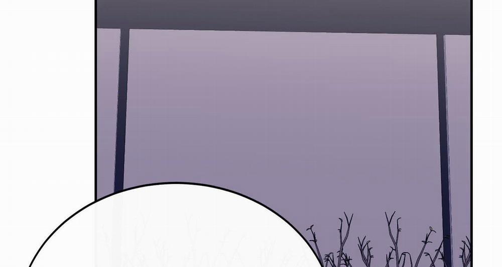 Lãng Mạn Giả Dối 31 trang 196