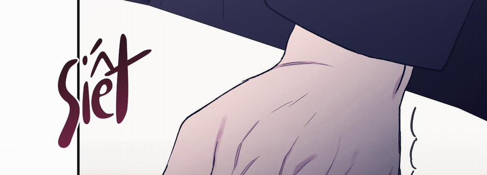 Lãng Mạn Giả Dối 31 trang 226