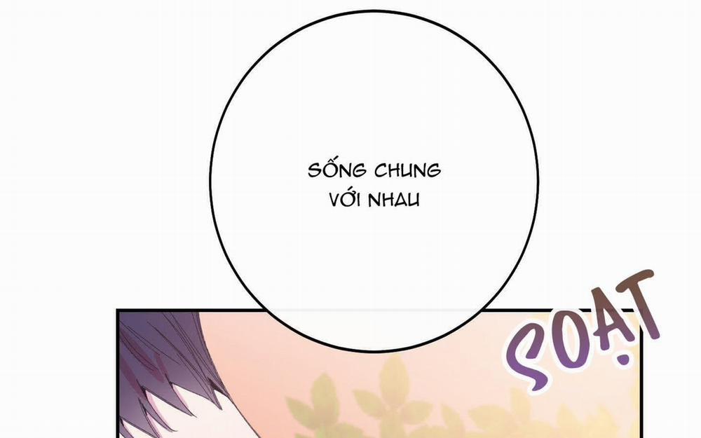 Lãng Mạn Giả Dối 9 trang 207