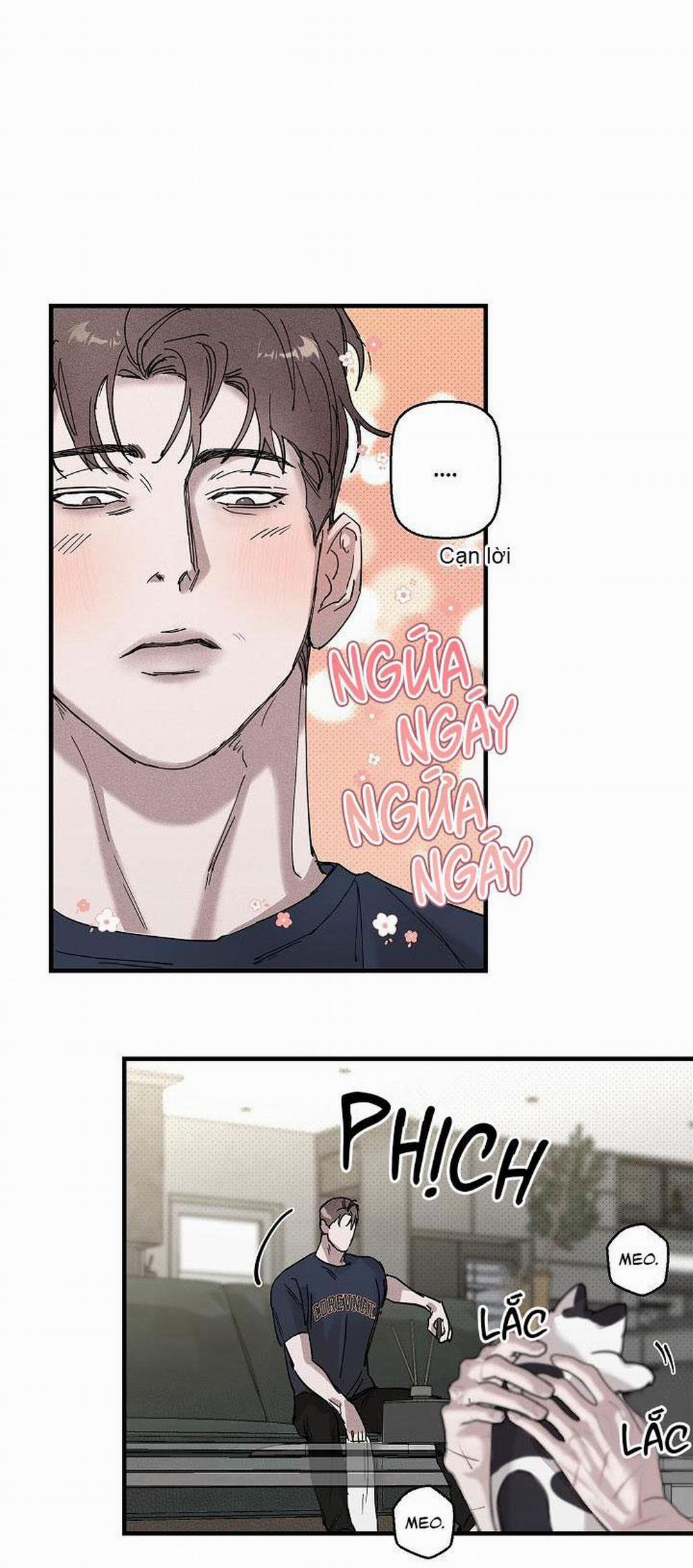 Lãng Mạn Một Chiều 13 trang 53