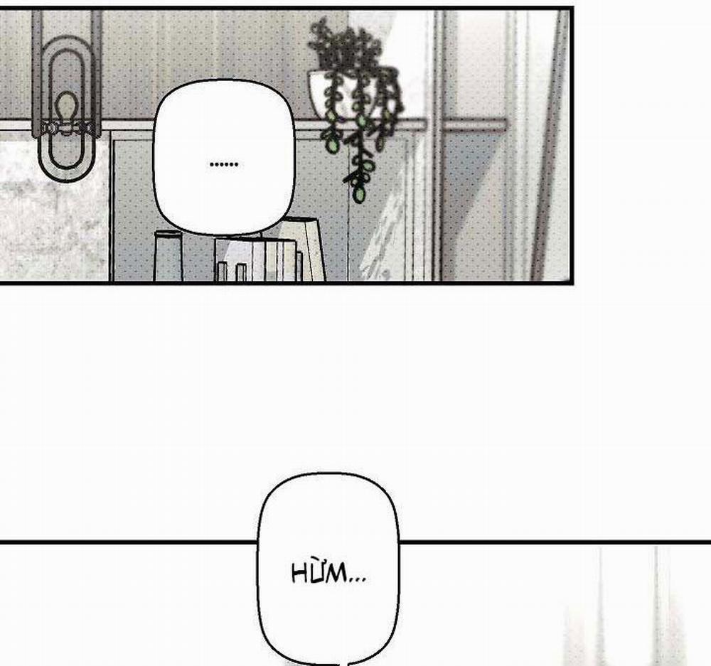 Lãng Mạn Một Chiều 14 trang 11