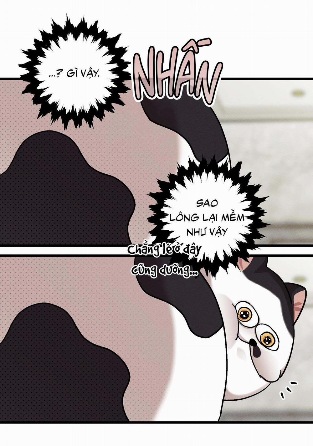 Lãng Mạn Một Chiều 20 trang 15