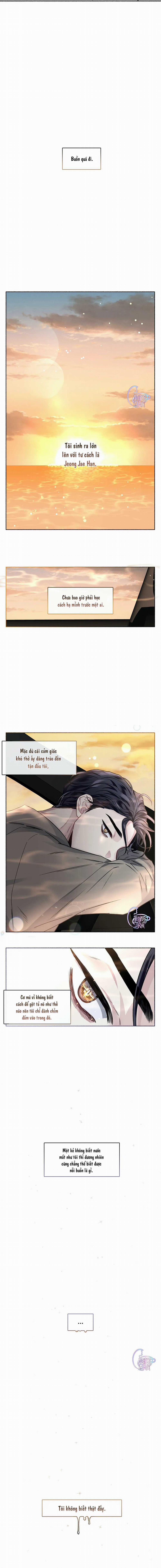 Lãng Mạn Một Chiều 29 trang 8