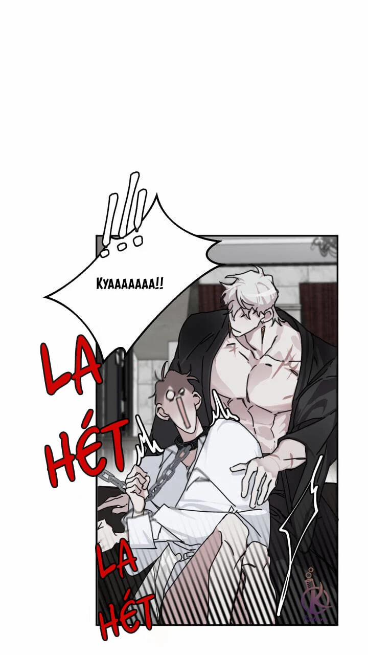 Lãng Mạn Một Chiều 3 trang 13