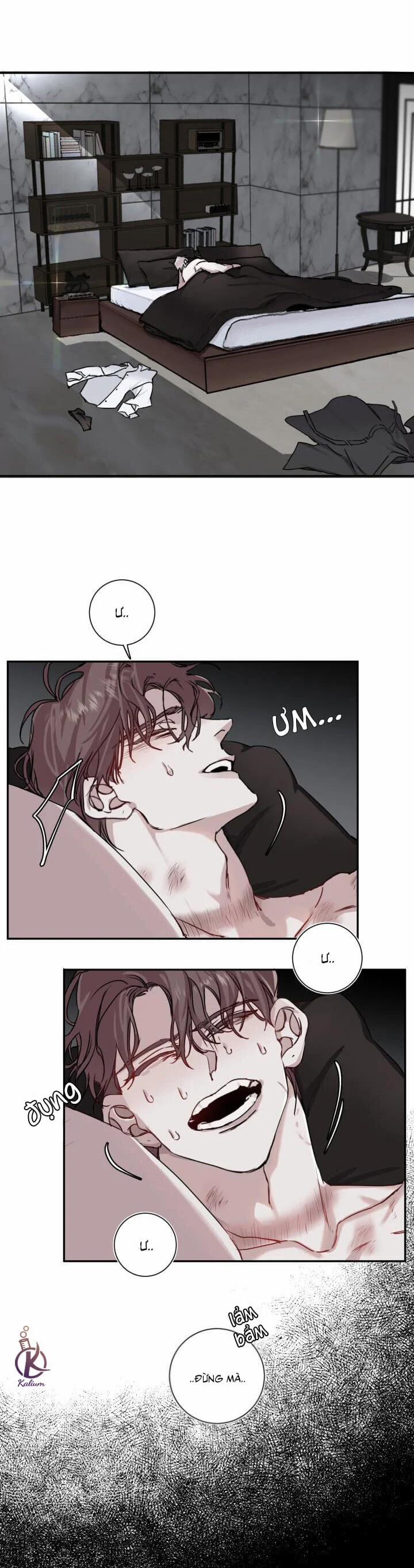 Lãng Mạn Một Chiều 4 trang 14