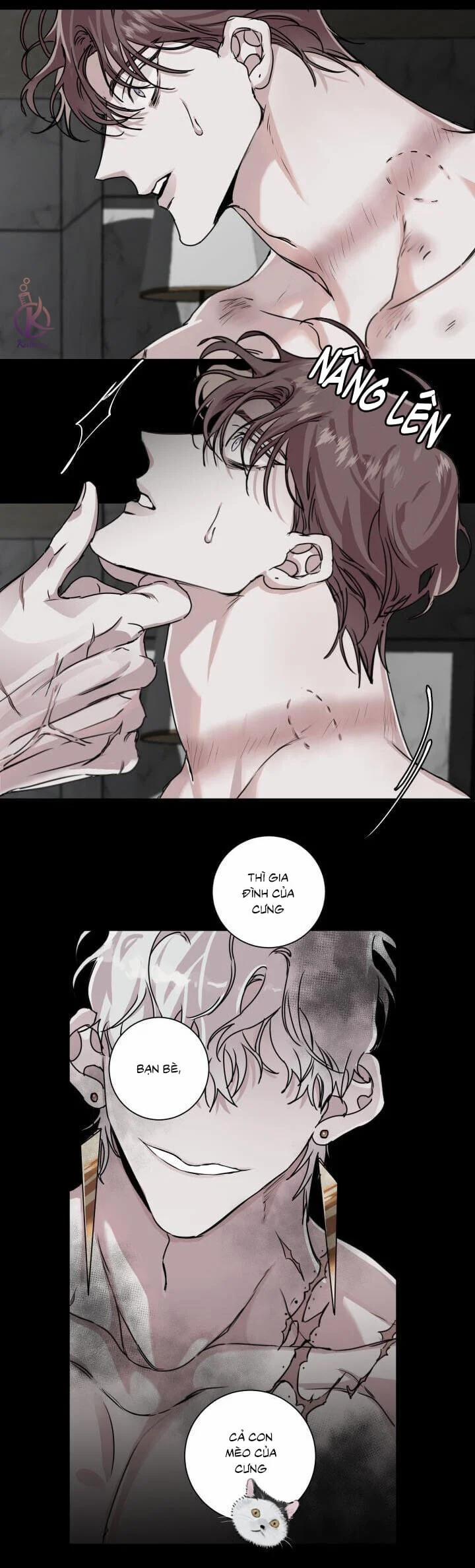 Lãng Mạn Một Chiều 5 trang 7