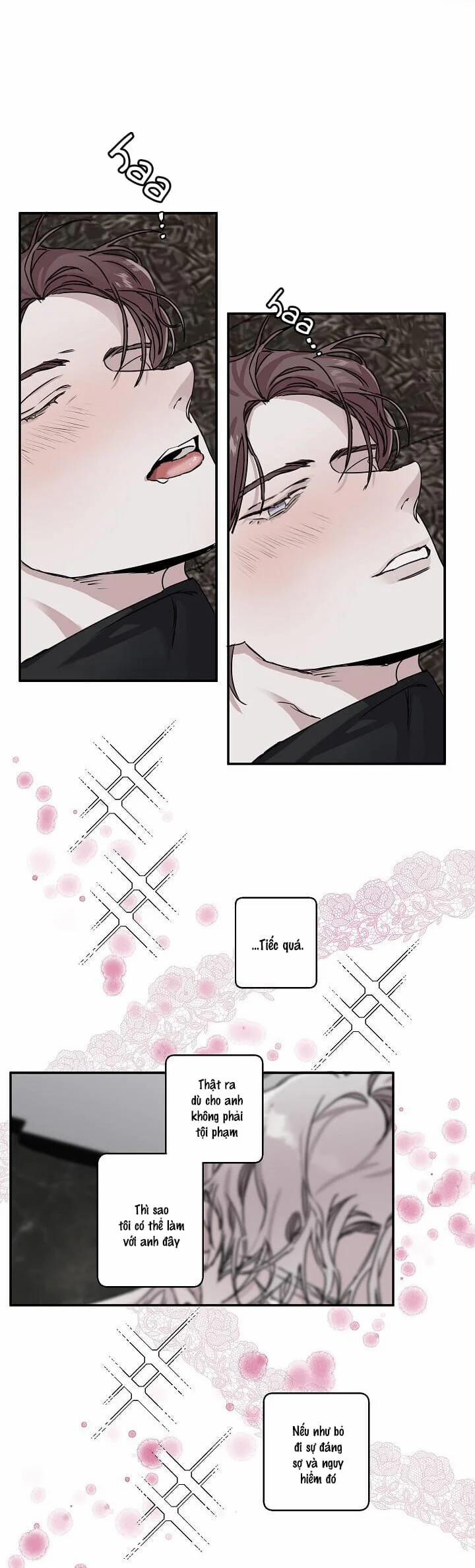 Lãng Mạn Một Chiều 6.5 trang 14